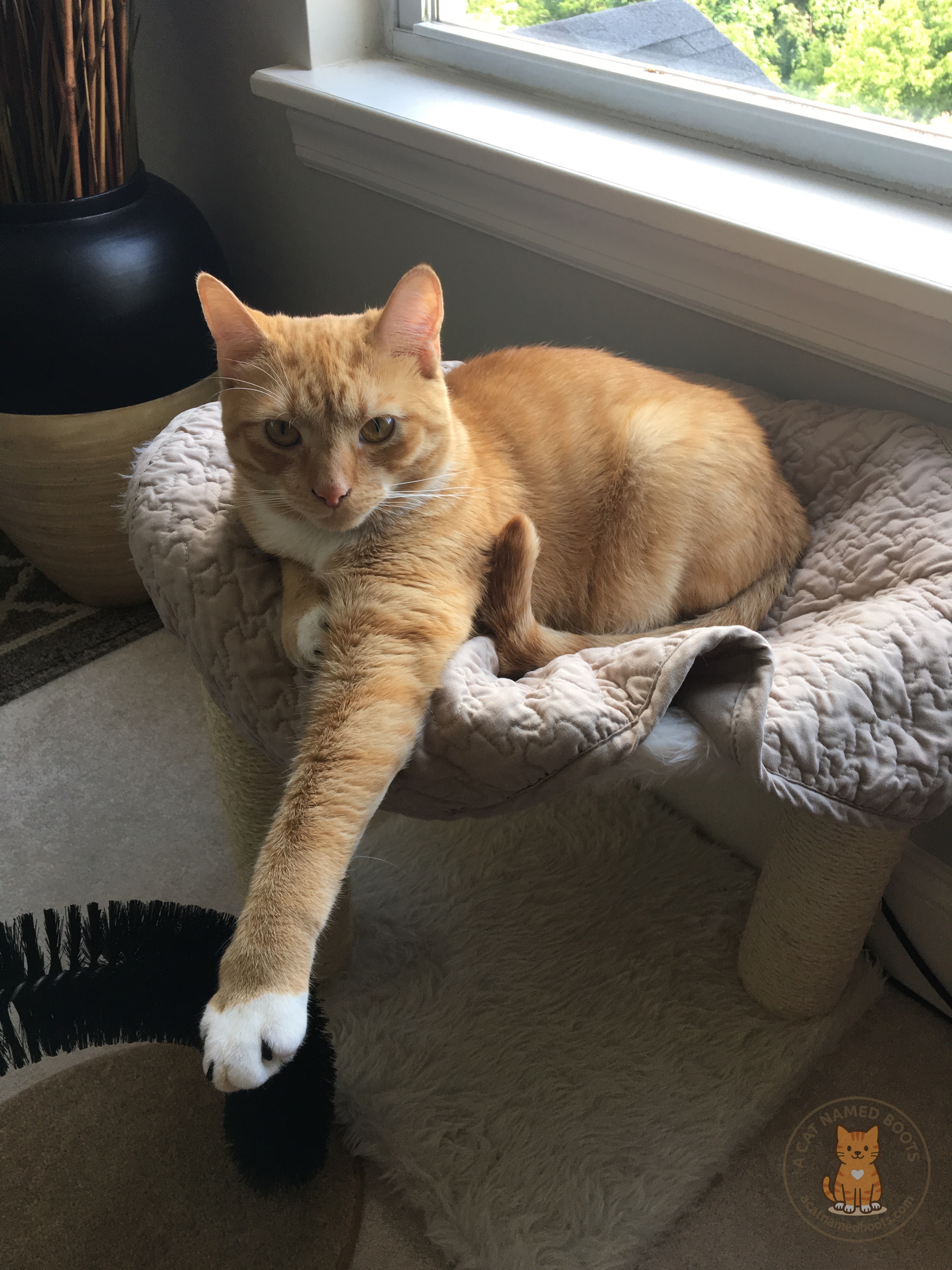 IMG_1970.jpg IMG_1970.jpg