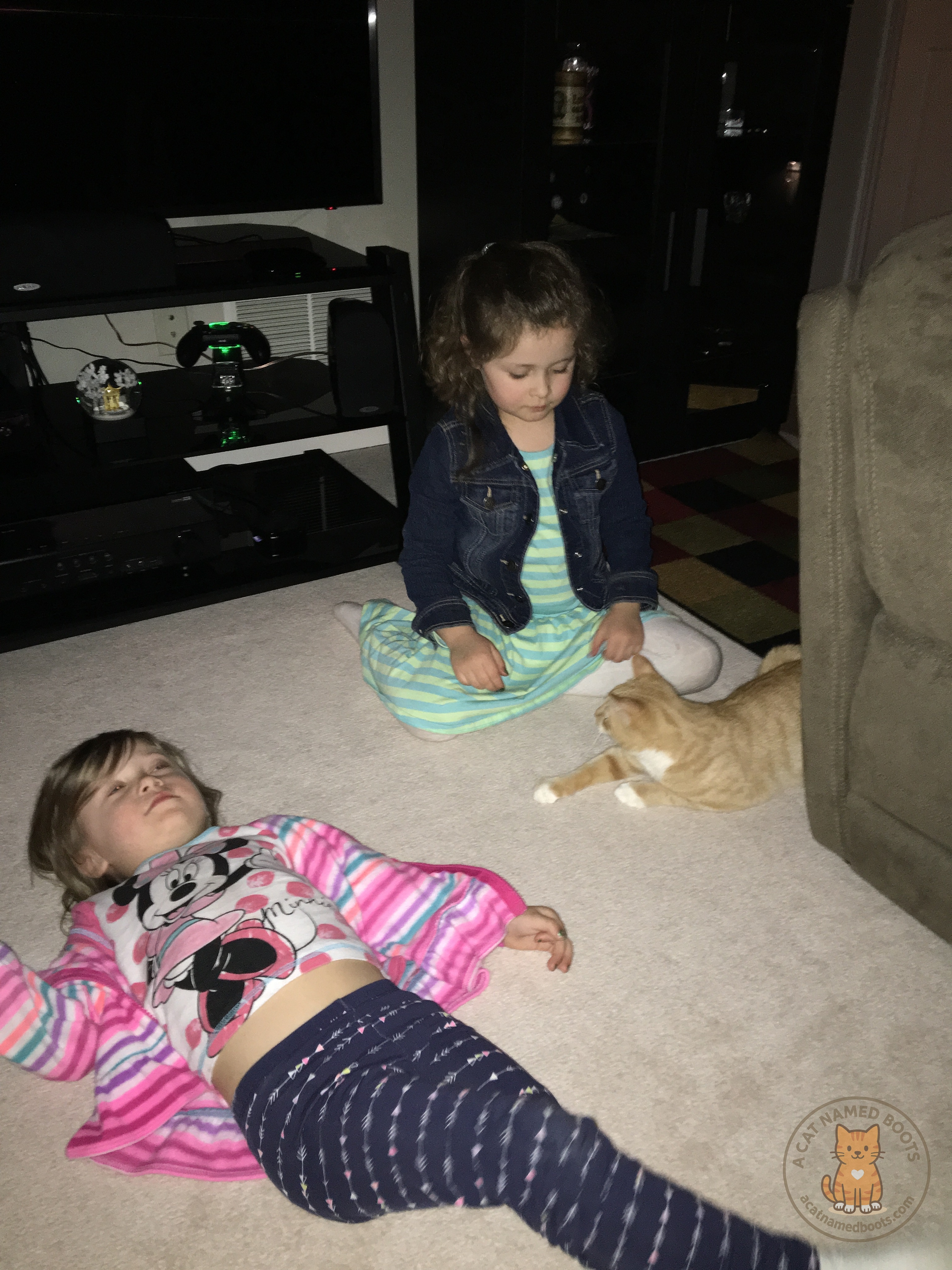 IMG_1167.jpg IMG_1167.jpg