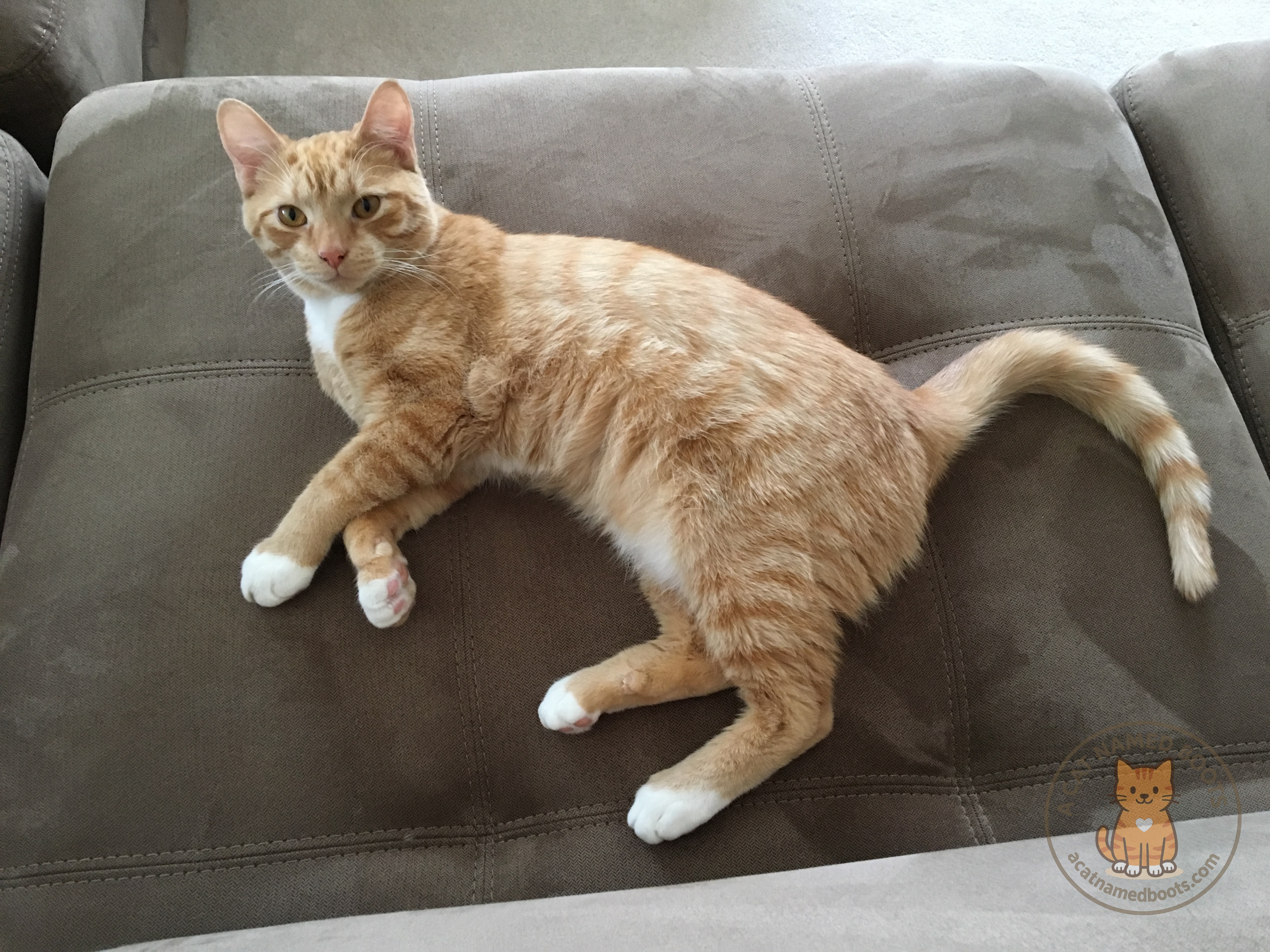 IMG_1387.jpg IMG_1387.jpg