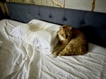 IMG_3570.jpeg