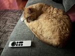 IMG_3864.jpeg