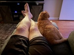 IMG_4137.jpeg
