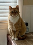 IMG_4173.jpeg