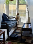 IMG_4185.jpeg