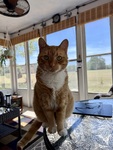 IMG_4186.jpeg