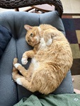 IMG_4219.jpeg