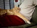 IMG_3835.jpeg