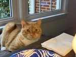 IMG_4225.jpeg