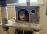 IMG_4226.jpeg