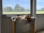 IMG_4411.jpeg