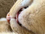 IMG_4602.jpeg