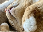 IMG_4603.jpeg