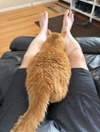 IMG_4697.jpeg