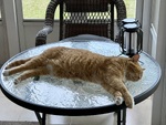 IMG_4644.jpeg