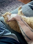 IMG_4722.jpeg