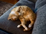 IMG_4725.jpeg