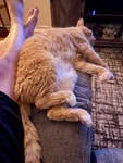 IMG_4759.jpeg