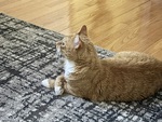 IMG_4863.jpeg
