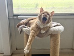 IMG_5233.jpeg