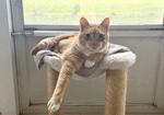 IMG_5234.jpeg