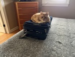 IMG_5180.jpeg