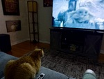 IMG_5331.jpeg