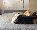 IMG_5380.jpeg