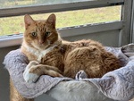 IMG_0009.jpeg