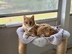 IMG_0010.jpeg