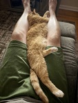 IMG_0103.jpeg