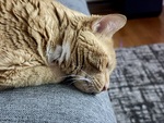 IMG_0104.jpeg