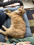 IMG_0118.jpeg