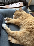IMG_0138.jpeg