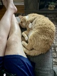 IMG_5305.jpeg